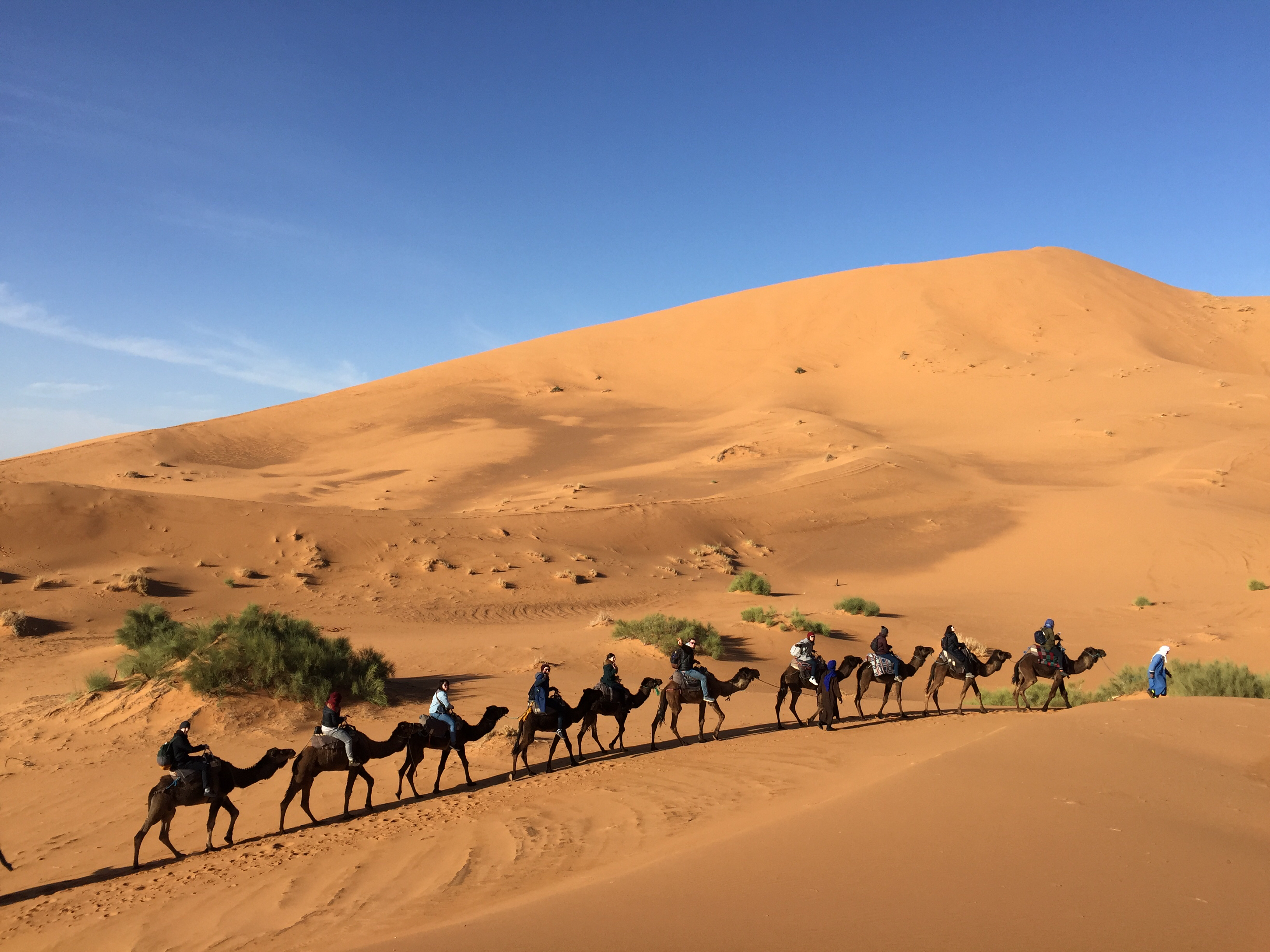 12 days Morocco shared group tour from Casablanca to discover Morocco
