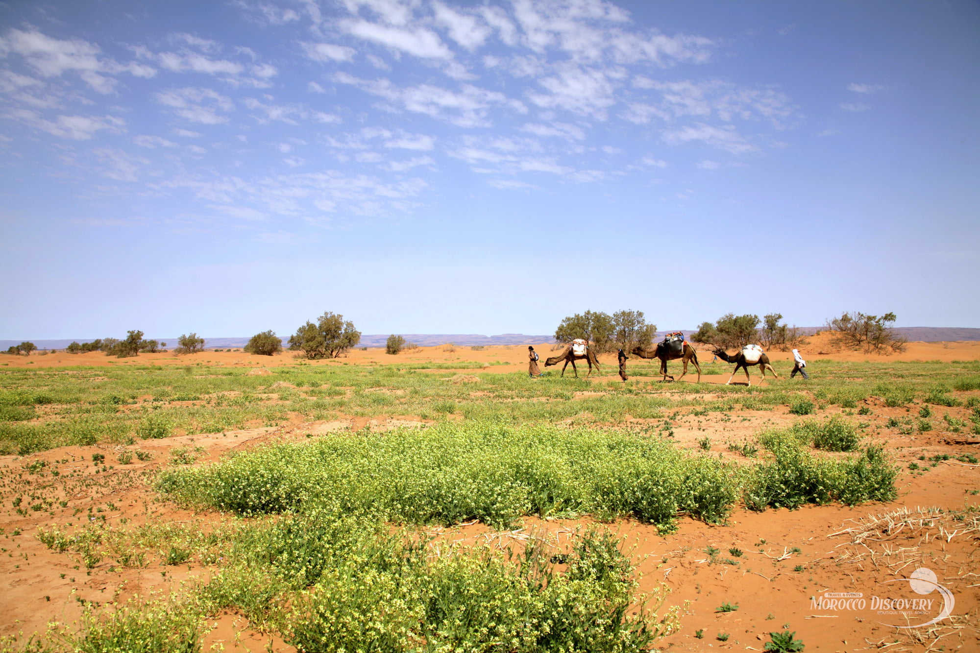 1 Night Camel Trekking Tour To Erg Lihoudi From Mhamid