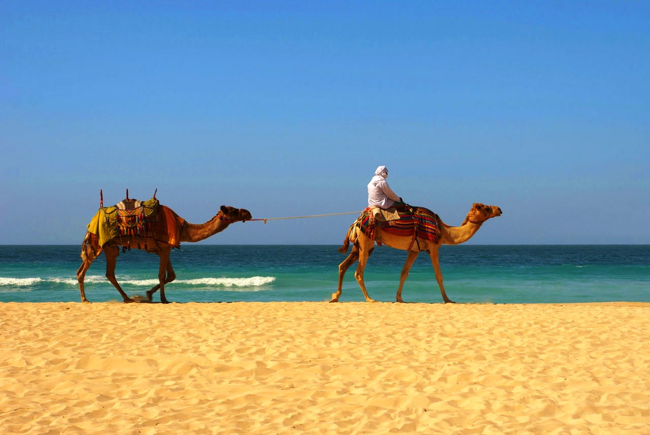 Agadir city guided tours to explore the highlights of this coastal resort