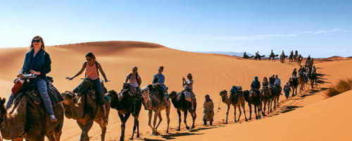 Group tours in morocco