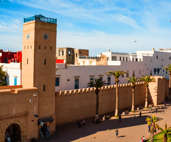 Marrakech Day Tours