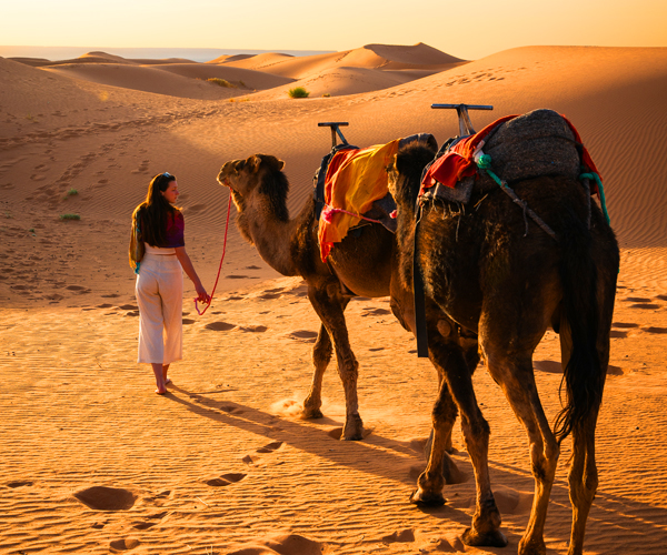 Morocco Camel Treks