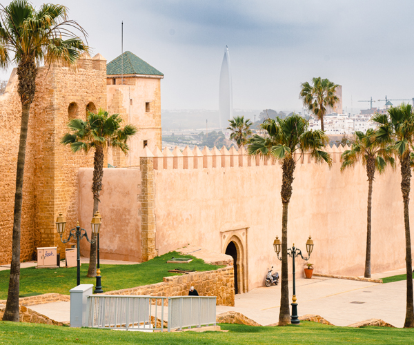 Morocco Designed Tours