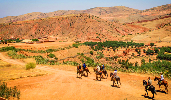 Book Horse Riding In Morocco To Explore The Beaches And Sahara Desert Of Morocco
