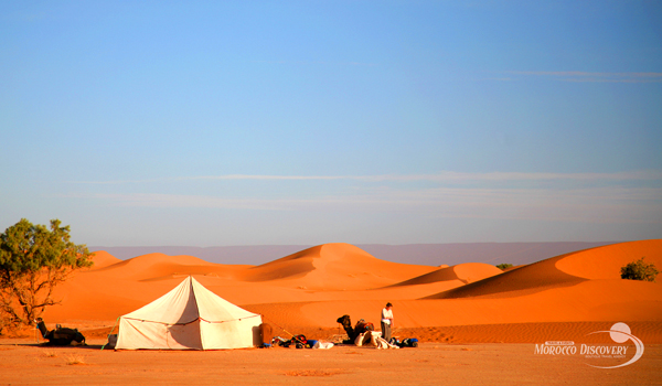 Book Camping Tour In Morocco To Explore The Wild Areas In Morocco Beaches And Desert