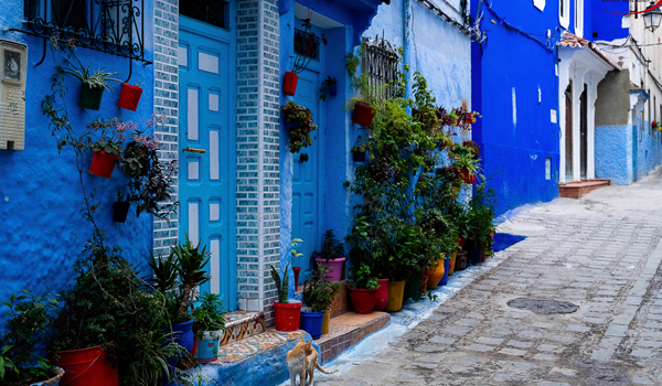 10 Days Delights Of Morocco Tour From Casablanca To Explore The Main Cities