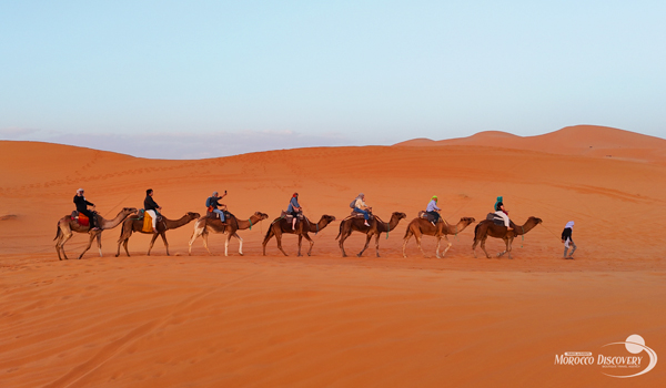 1 Night Camel Trekking Tour To Erg Lihoudi From Mhamid