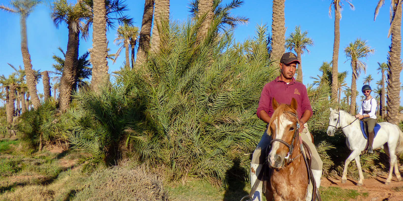 Morocco horse ride tour in Marrakech palmeraie