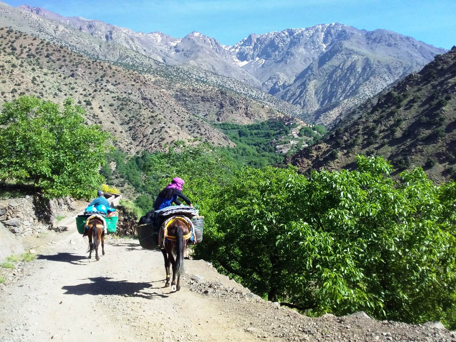 08 days hiking tour to the Atlas Mountains from Marrakesh in Morocco