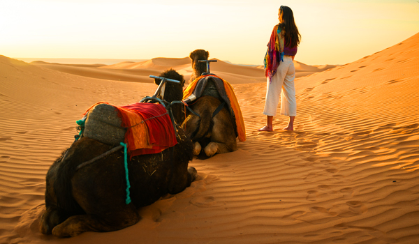 3 Days Morocco Desert Tour From Fez To Marrakech
