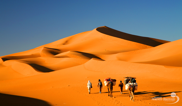 3 Days Morocco Desert Tour To Erg Chegaga From Marrakech