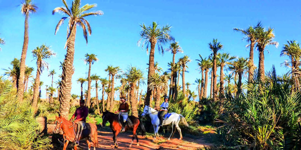morocco horse ride tour in marrakech palmeraie