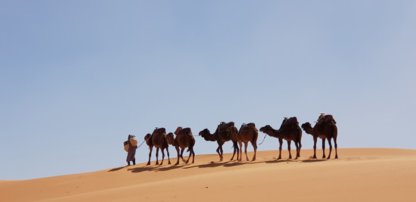 03 days new year desert tour from fez to marrakech via merzouga