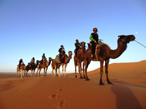10 days new year imperial cities & desert tour from tangier