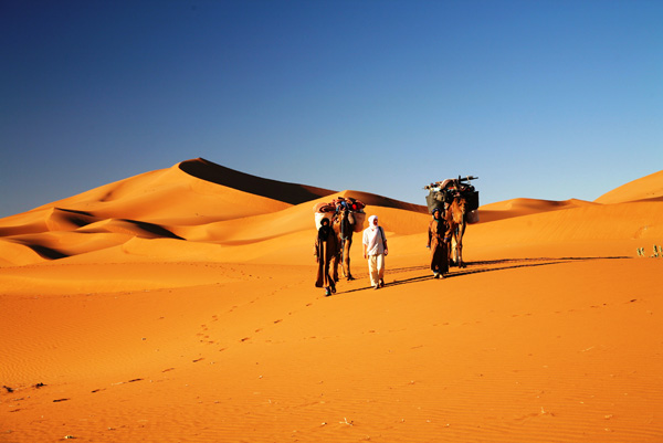 visual morocco photography tour - 11 days/10 nights - from marrakesh